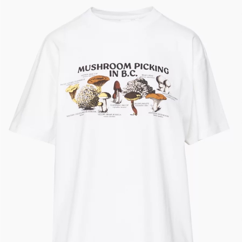 Aritzia Davis Mushroom T Shirt